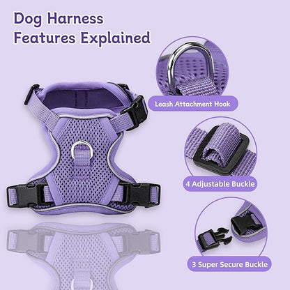 Small Dog Harness and Leash Set, Reflective Soft Breathable Mesh Vest, 3 Buckles, Adjustable Neck and Chest,Step in Dog Harness for Walking, Running, Training, Purple, M
