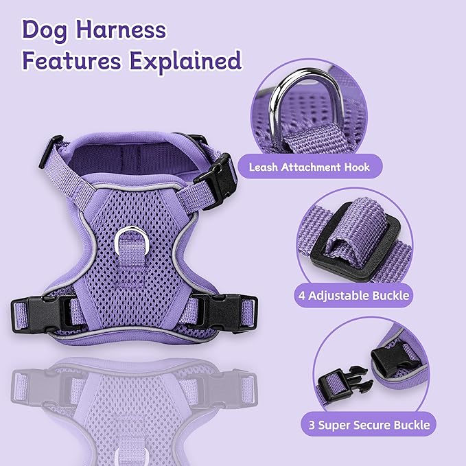 Small Dog Harness and Leash Set, Reflective Soft Breathable Mesh Vest, 3 Buckles, Adjustable Neck and Chest,Step in Dog Harness for Walking, Running, Training, Purple, S