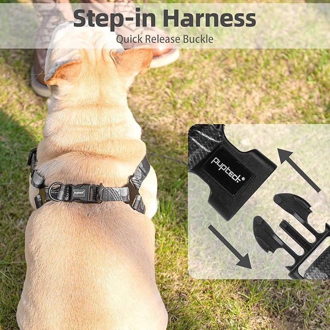 PUPTECK No Pull Dog Harness Soft Adjustable Basic Nylon Step in Puppy Vest Outdoor Walking with Leash