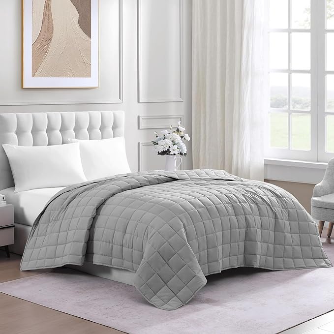 Casa Platino Blanket Twin Size - Pre-Washed Quilted Blanket - Premium Microfiber Down Alternative Bedding Twin Size - Silver