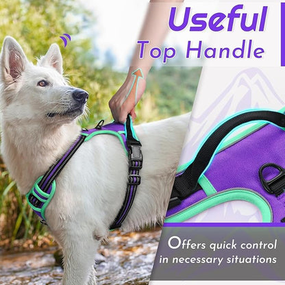 Eagloo Dog Harness Small Sized Dog, No Pull Service Vest with Reflective Strips and Control Handle, Adjustable and Comfortable for Walking, No Choke Pet Harness with 2 Metal Rings, Purple & Green, S