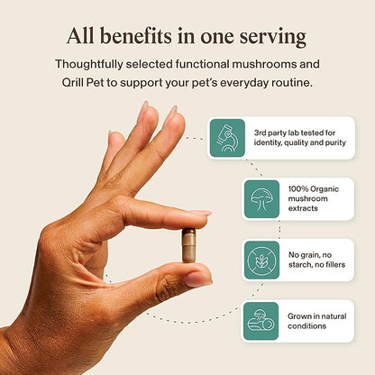 Real Mushrooms Pet Defenders with Krill - Dog Immune Support with Reishi, Turkey Tail, Shiitake, Maitake Organic Mushroom Extracts, Chaga - Daily Digestion and Immune Support for Dogs and Cats, 90ct