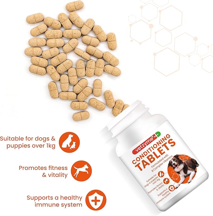 Vetzyme Conditioning Tablets For Dogs Pot Size: 100 Tablets