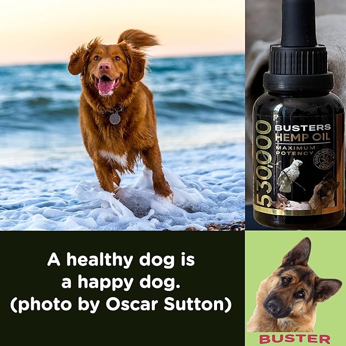 Busters Organic Hemp Oil 530,000 2pack 2month Supply for Dogs and Cats Made in USA Omega Rich 3 6 and 9 Hip & Joint Health Natural Soothing Relief