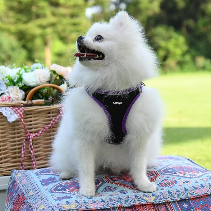 AMTOR Small Dog Harness with Leash Set, No Escape Easy Walk Puppy Harnesses for Training Walking, Step-in Reflective Soft Dogs Vest for XS S Medium Extra-Small Large Sized Dog(XL,Black/Purple)