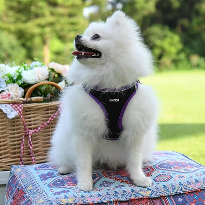 AMTOR Small Dog Harness with Leash Set, No Escape Easy Walk Puppy Harnesses for Training Walking, Step-in Reflective Soft Dogs Vest for XS S Medium Extra-Small Large Sized Dog(XL,Black/Purple)