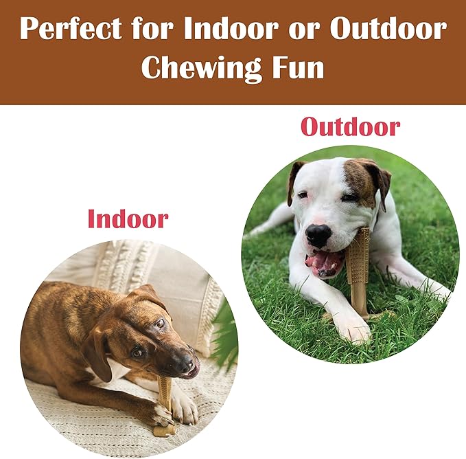SPOT Bam-Bones Plus Coffee Wood T-Bone Dog Chew Toy, Chicken Flavor, Nylon and Coffee Wood Fiber Blend, Durable Chew for Heavy Chewers and Dogs Under 60 lbs, Non-Splintering Dental Chew, 6 Inch