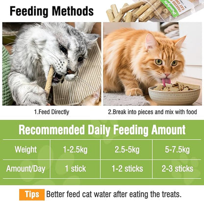 Freezed Drying 50g Cat Chew Sticks Quail Flavor, Cat Teething Sticks for Teeth Cleaning Dental Care, Cats Chew Toys for Fresh Breath