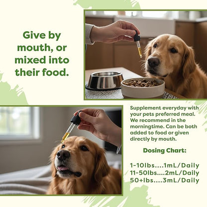 RestoraPet 1-Pack Dog & Cat Bacon Liquid Multivitamin | Dog Arthritis Pain Relief | Hip & Joint Vitamins for Dogs - Anti Inflammatory Supplement for Dogs & Cats | Organic & Non-GMO, Vet Approved
