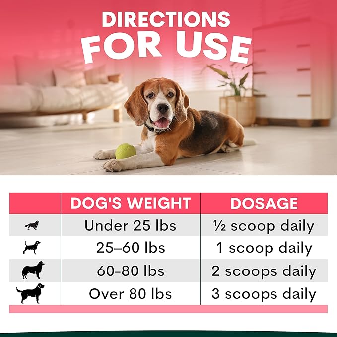 Petz Park Hip + Joint for Dogs 45 Scoops, Glucosamine for Dogs with Chondroitin and MSM, Dog Hip and Joint Supplement for Mobility Support, Dog Food Topper Powder for Joint Health and Flexibility