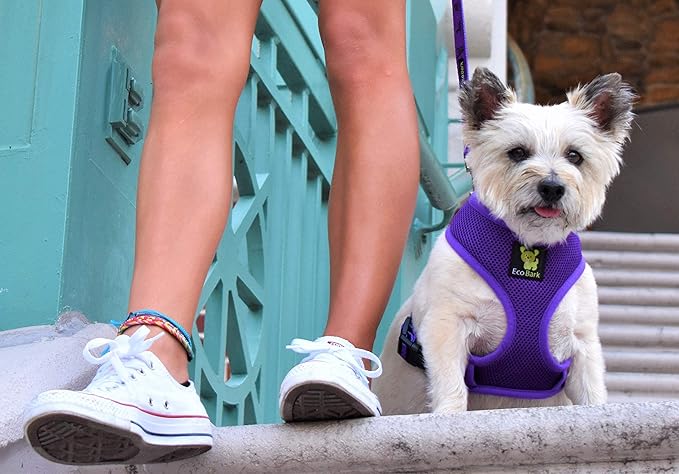 EcoBark Dog Harness - Eco-Friendly Max Comfort Harnesses - Luxurious Soft Mesh Halter - Over The Head Harness Vest- No Pull and No Choke for Puppy, Toy Breeds & Small Dogs (Medium, Purple)