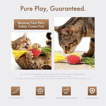 Mira's Pocket Natural Loofah Cat Toy with Feathers, Elastic Bouncing Chew Toy with Catnip & Bell, Self-Play Enrichment Toy for Indoor Cats to Relieve Boredom (Color Mixing)