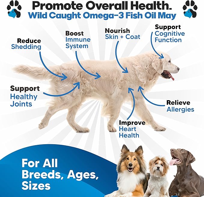 Omega 3 Fish Oil for Dogs - Better Than Salmon Oil for Dogs - Dog Fish Oil Supplement - Reduce Shedding & Itching - Supports Joints, Brain, Heart Health- Dog Skin and Coat Supplement - Fish Oil Liquid
