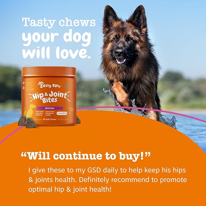 Zesty Paws Hip and Joint for Dogs, Glucosamine for Dogs Hip and Joint Supplement with Chondroitin, MSM, Vitamins C & E - Bacon, 90 Count