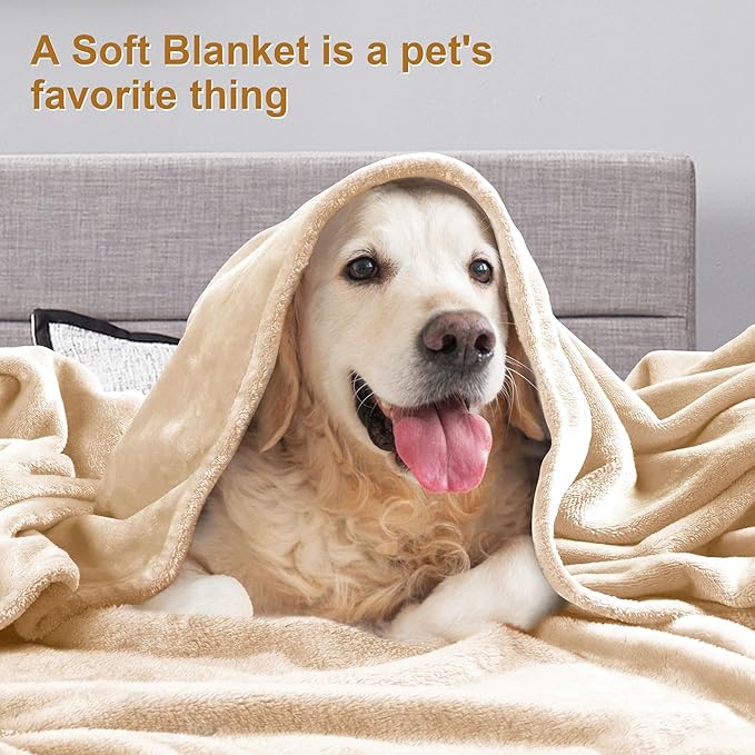 DREAMNINE Extra Large Fleece Blanket Soft Comfy Fluffy Bed Blankets King Size 90" x 108", Luxury Decorative Fuzzy Blanket for Bedroom, Big Cozy Shaggy Warm Flannel Blankets for Winter Autumn Pet,Beige
