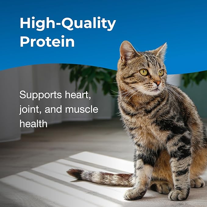 PetAg KMR Healthy Aging - 14 oz - Supports a Healthy Heart & Muscles with Protein for Adult/Senior Cats 7+ - Easy to Use