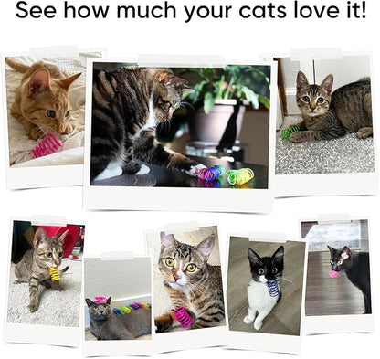 AGYM 6Colors Plastic Spring Cat Toys, 24 Pack Spiral Springs for Indoor Cats to Swat, Bite, Hunt, Interactive Toys for Cats and Kittens