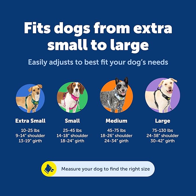 PetSafe Easy Walk Comfort No-Pull Dog Harness - Better Walk Training Harness - Full Body Padded Design - Durable Fabric - 5 Point Adjustable Fit - Everyday Leash Training - Blue - Medium/Large