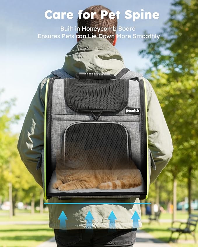 Pecute Cat Backpack Carrier Expandable , Foldable Pet Backpack for Cats & Small Dogs Up to 11lbs, with 4-Side Breathable Mesh, Multi-Entry & Lockable Zippers for Travel, Hiking, Camping - Hands Free,
