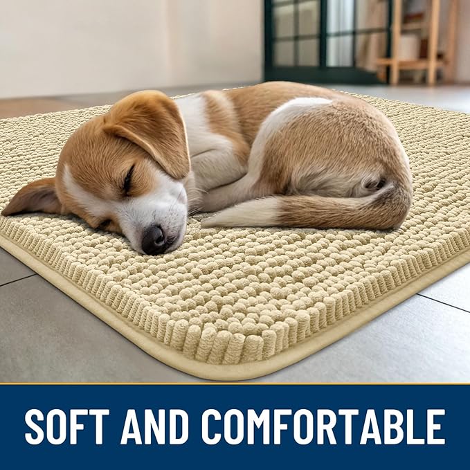 Smiry Dog Door Mat for Muddy Paws 36x24, Absorbs Moisture and Dirt Doormat, Non-Slip Washable Quick Dry Chenille Front Door Mat Indoor Entrance, Entryway Carpet for Inside Floor, Cream White