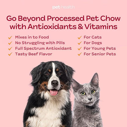 Pet Health OPC Formula with Glucosamine for Dogs & Cats, Beef Flavor – Joint Support, Healthy Circulation, Antioxidant Protection, Supports Cardiovascular & Visual Health (90 Servings)