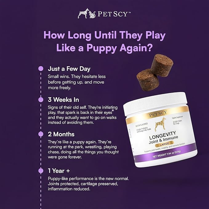 Petscy Longevity Hip & Joint + Immune Support for Dogs - Large (7.5g Chew) - High Dose Glucosamine, MSM, Chondroitin, Green Lipped Mussel, Omega 3, Probiotics - 30 Chews (Large Dogs)