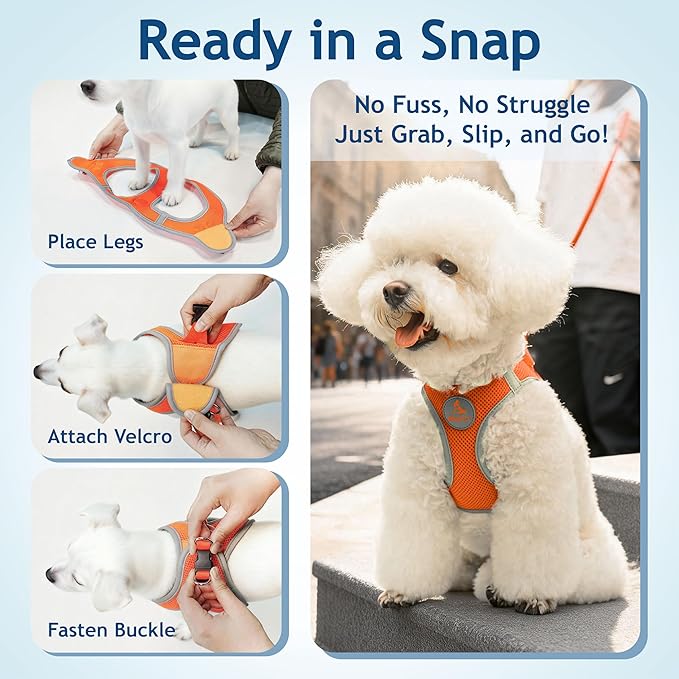 Kruz Dog Harness (Chest 13.5"-14.5", Weight 4–6 lbs) Athletica Adjustable Heavy Duty No Choke Puppy Vest for Small Dogs Lightweight Air Mesh, Reflective, Puppy Essentials – Orange, X-Small