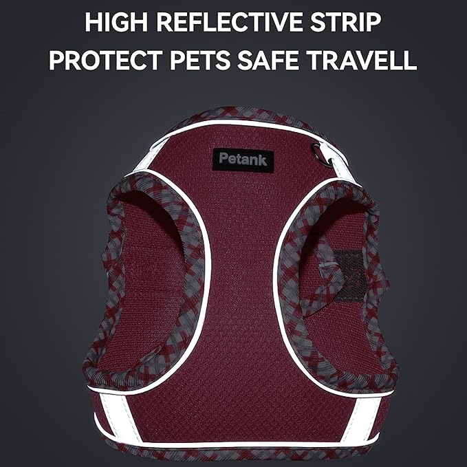 Petank Dog Harness for Small Medium Dogs No Pull, Puppy Harness and Leash Set for Walking, Running, Training, Small Dog Harness, Medium Dog Harness (Rose Red, XXS)