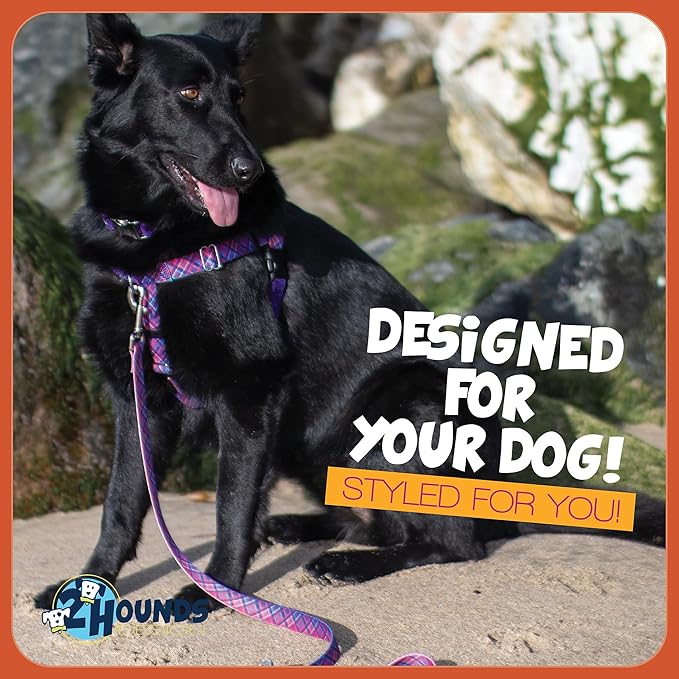 2 Hounds Design - Freedom No-Pull Harness & Training Leash in Pink and Purple | Dual Leash Loops, No Pulling on Walks | Lined to Prevent Chaffing | for Large Sized Dogs (Size L, Chest 28”- 32”)