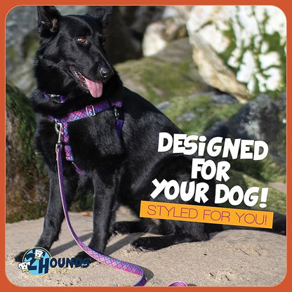 2 Hounds Design - Freedom No-Pull Harness & Training Leash in Pink and Purple | Dual Leash Loops, No Pulling on Walks | Lined to Prevent Chaffing | for Large Sized Dogs (Size L, Chest 28”- 32”)