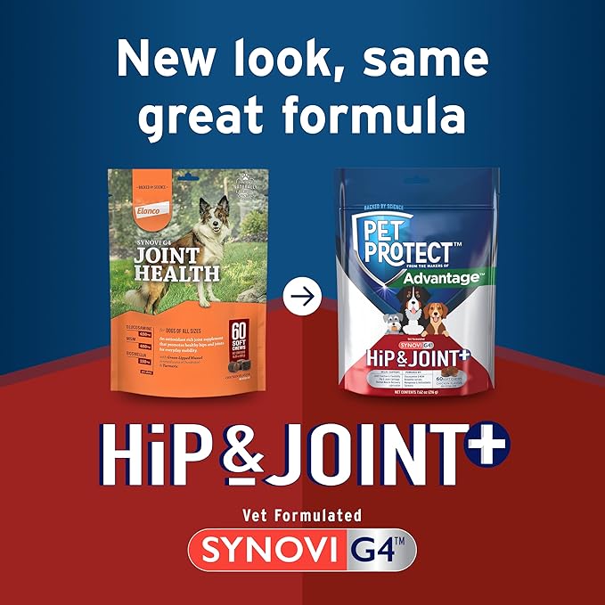 Pet Protect Dog Hip & Joint+ Supplement for Active & Aging Dogs, Vet-Formulated Synovi G4, Dog Glucosamine, Chicken-Flavored Soft Chews (60 Count)