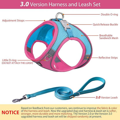 AIITLE Comfortable Dog Harness and Leash Set for Walking - Step in Vest Harness,Reflective Bands, Adjustable No Pull Puppy Essentials, for Small Dogs and House Cats Hot Pink XS