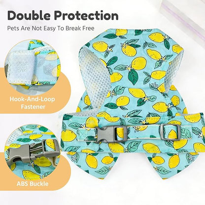 BAEJMJK Dog Harness and Leash Set with Bow Knot No Pull Pet Daisy Floral Harness with D-Ring Soft Mesh Dog Harness Vest Set Escape Proof Princess Puppy Harness for Small Girl Dogs Cats（Green S）