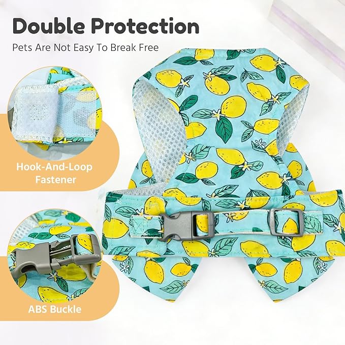 BAEJMJK Dog Harness and Leash Set with Bow Knot No Pull Pet Daisy Floral Harness with D-Ring Soft Mesh Dog Harness Vest Set Escape Proof Princess Puppy Harness for Small Girl Dogs Cats（Green XS）