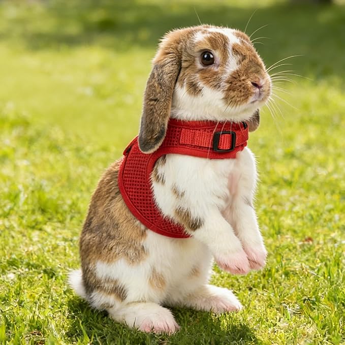 AIITLE Rabbit Harness and Leash Set with Cute Bow, Xmas Soft Breathable Mesh Vest Harness for Rabbits Kitten Ferret Puppy Small Pets Walking Supplies Red L