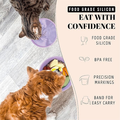 30 Oz Travel Dog Bowls with Lids, 2-in-1 Portable Pet Bowls for Food and Water, Leakproof Travel Dog Food & Water Bowl for Outdoor, Camping, Travel Dog Feeding Bowl, Daycare Pet Bowls