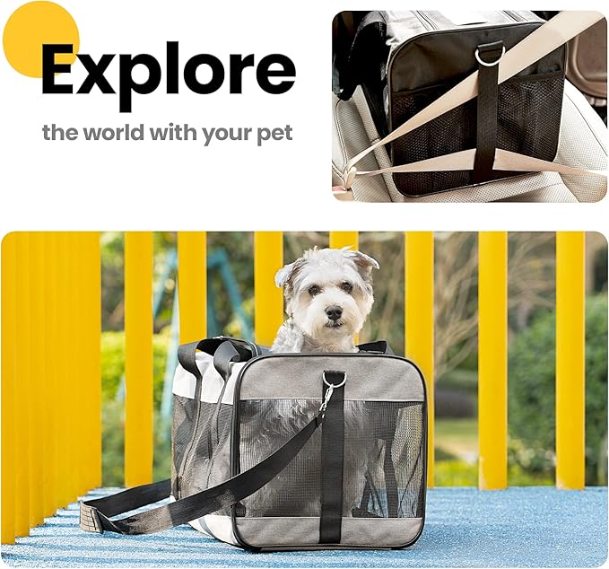 Conlun Dog Carrier Soft Sided, Large Cat Carrier with Inner Safety Leash, Pet Transport Carrier for Large Cats and Medium Dogs up to 20 Lbs, Collapsible Travel Puppy Carrier Bag -Black L