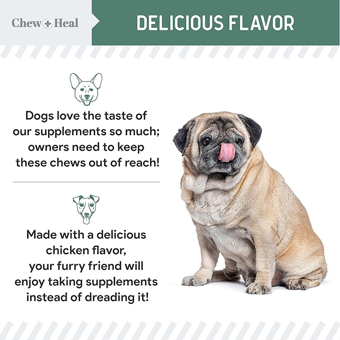 Chew + Heal Labs Glucosamine for Dogs Hip and Joint Supplement - 60 Senior Dogs Mobility Soft Chews - Made with Glucosamine, MSM, Chondroitin, Green Lipped Mussels and More - Made in The USA