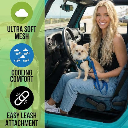 EcoBark Dog Harness - Teacup Dog Harnesses for XXS, XS, and Small Dogs - Step in Mesh Mini Body Halter - Puppy to Senior Dogs - Toy Breed Dog Harness Vest Under 5 pounds lbs (XXXS, Bright Blue)
