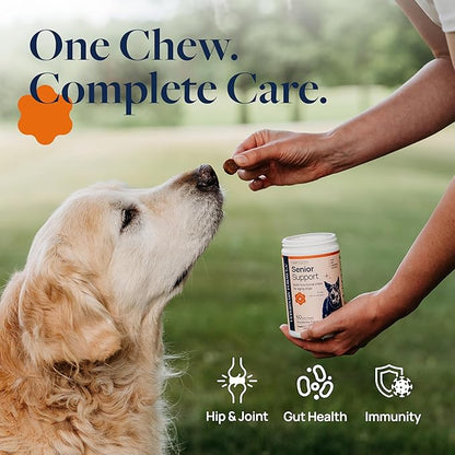 Veterinary Formula Smart Vitality Senior Support Dog Supplements 60ct – Senior Dog Vitamins to Help Promote Mobility, Hip & Joint, Immune Health – Dog Multivitamin with Glucosamine and Chondroitin