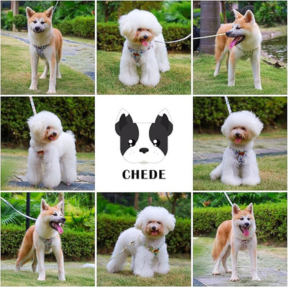 CHEDE No Pull Floral Pattern Dog Harness- Lightweight, Soft, Adjustable Small Harness and Leash Set, Suitable for Puppy Small and Medium-Sized Dog (XXS, Pink Daisy)