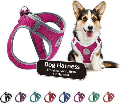 Kruz Dog Harness (Chest 14.5"-15.5", Weight 6–10 lbs) Athletica Adjustable Heavy Duty No Choke Puppy Vest for Small Dogs Lightweight Air Mesh, Reflective, Puppy Essentials – Raspberry Pink, Small