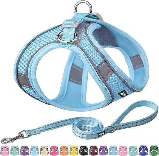 AIITLE No Pull Dog Harness and Leash Set, Step in Adjustable Dog Harness with Padded Vest for All Weather, Dog Leash with Soft Padded Handle, Easy to Put on Small and Medium Dogs Pure Blue S