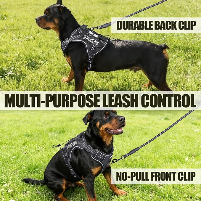 Service Dog Tactical Vest Harness and Leash Set Large Sized Dog Emotional Support- Tactical Dog Harness Training Collar with Name (Black, L)