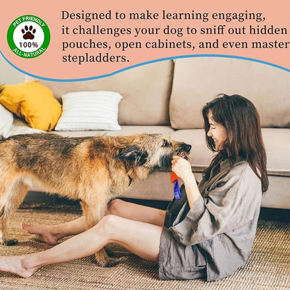 Dog Scent Training kit, Brain Games, Hide and Seek Toys - Fun Nose Work Games, Sniff and Seek Sniffing Toys, Dog Nosework Kit, Scent Work Kit for All Ages Dog (Orange)