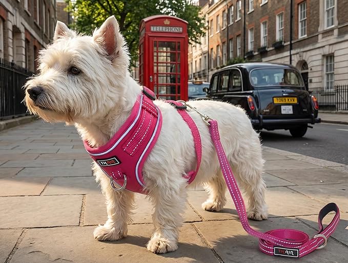 THAIN Reflective Dog Harness & Leash Set – No-Pull Design, Adjustable & Comfortable for Small Dogs (XS, Solid Rose red)