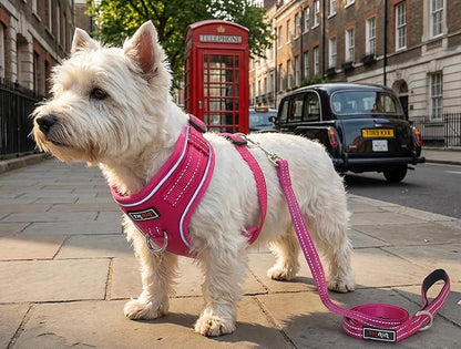 THAIN Reflective Dog Harness & Leash Set – No-Pull Design, Adjustable & Comfortable for Small Dogs (XS, Solid Rose red)