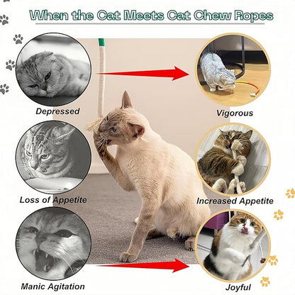 Cat Chew Toys Cat Toys, Silvervine Sticks for Cats Teeth Cleaning Rope, Kitten Teething Dental Care, Kitty for Indoor Cats Increase Appetite, Enhances Oral & Dental Health (20 Pack)