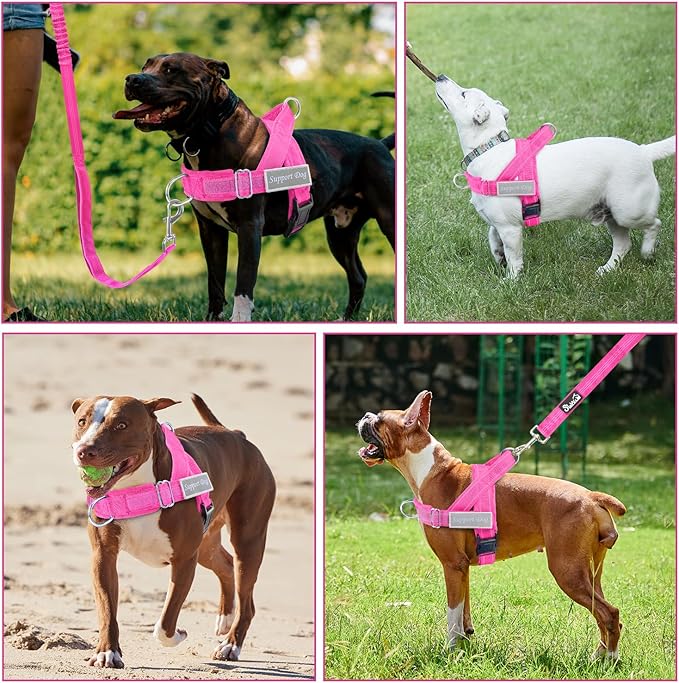 Lukovee No Pull Dog Harness & Leash Set - Heavy Duty Dog Vest Harness with Soft Padded for Medium Large Dogs, Adjustable Reflective Tactical Pet Harness for Easy Walk and Training (XL, FU)