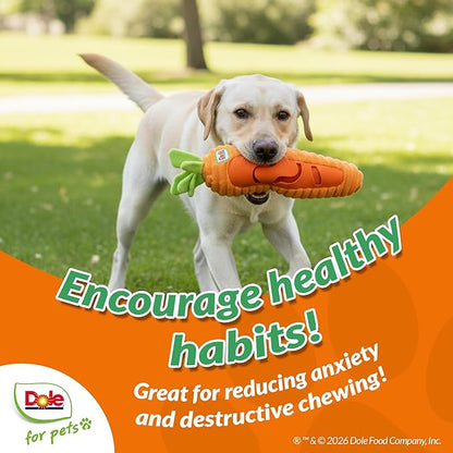 Dole for Pets® Dog Puzzle Toy with Squeaker, Carrot Snuffle Dog Treat Toy for Small and Medium Dogs, Dog Enrichment Toys
